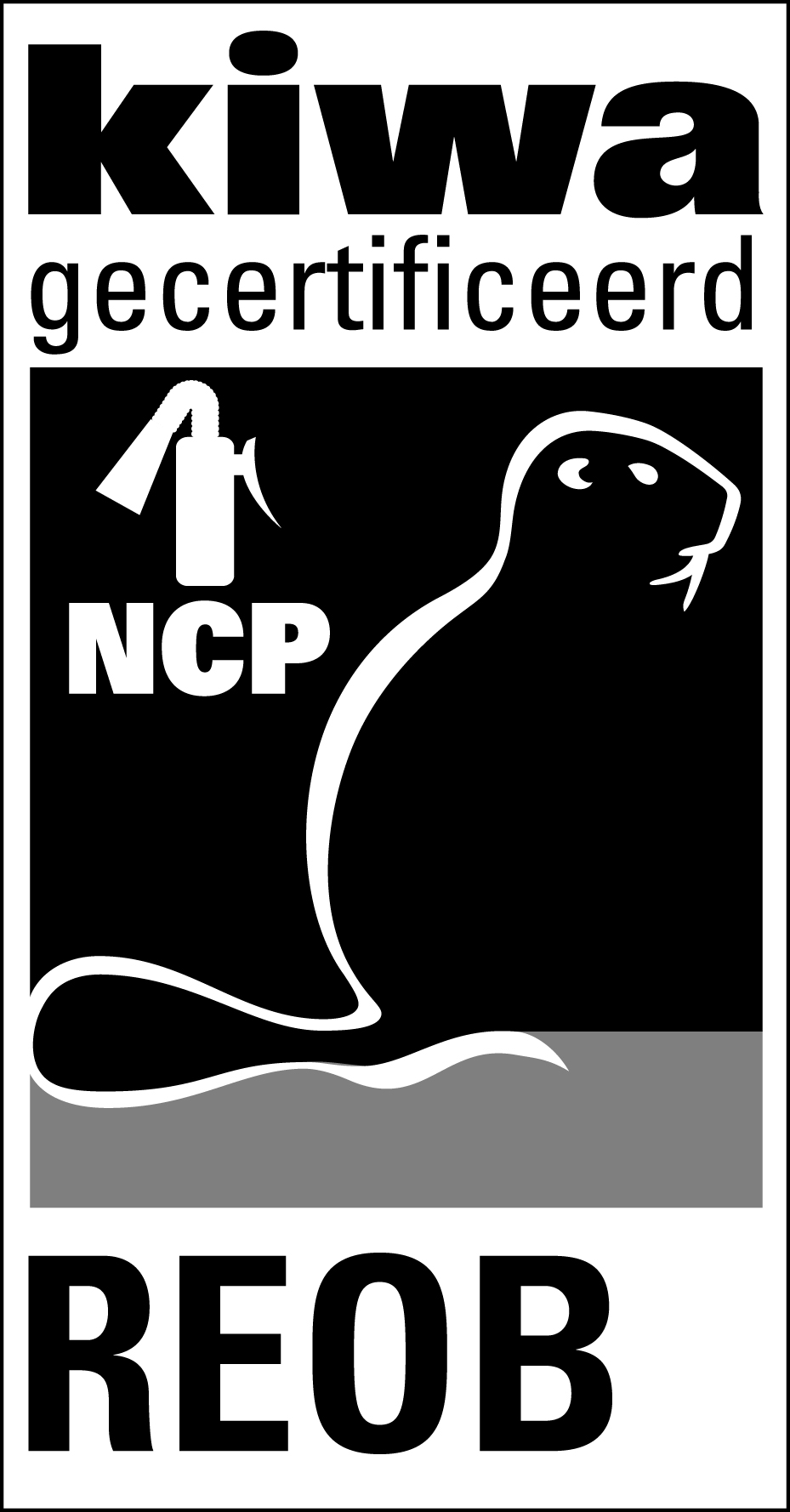 ncp-reob-300x158